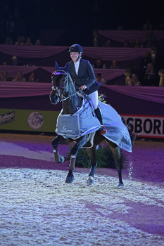 Louise Saywell takes the title in the Irish Horse Gateway sponsored International Showjumping class